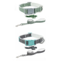 Pet Collar And Leash